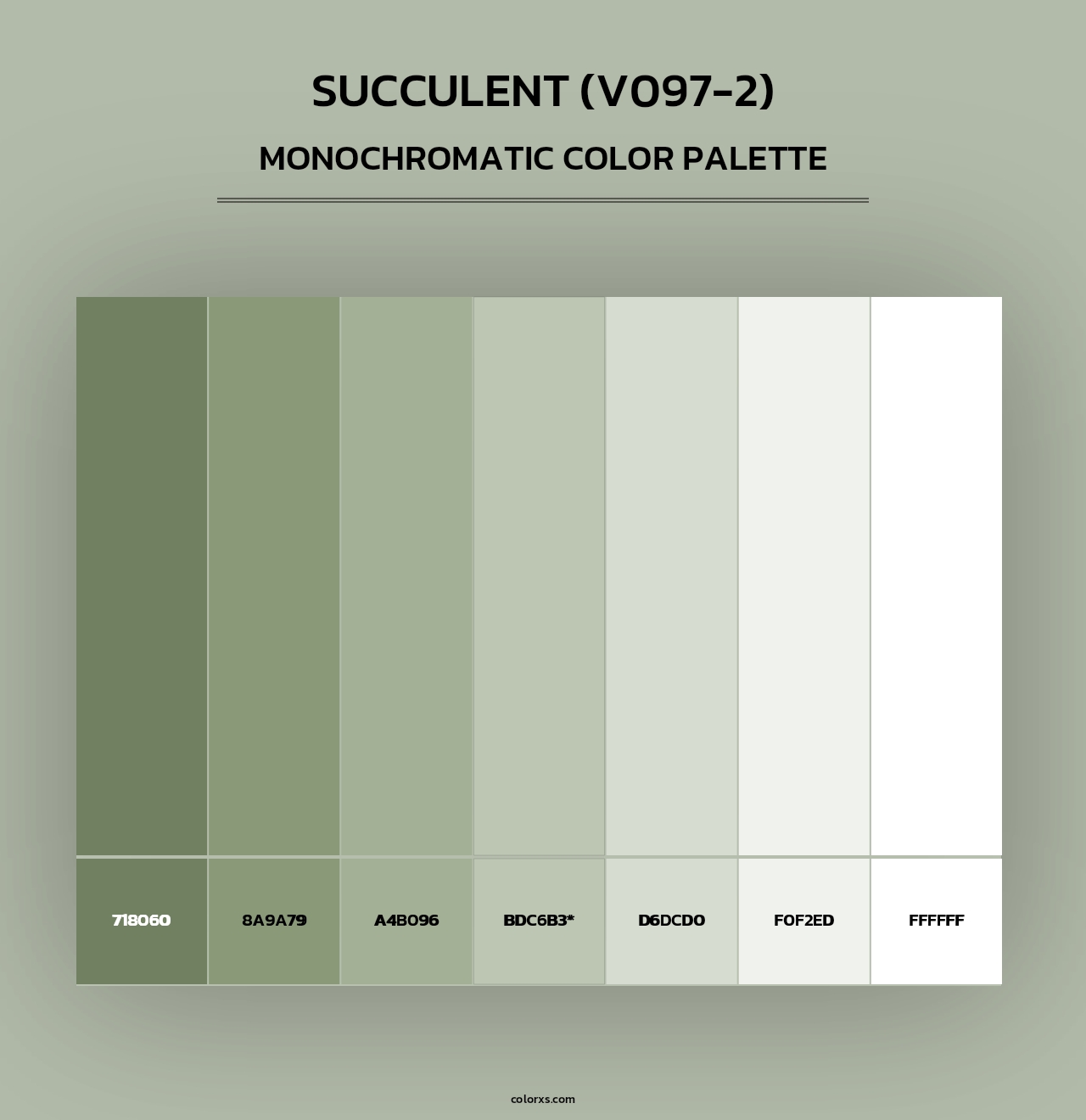 Succulent (V097-2) - Monochromatic Color Palette