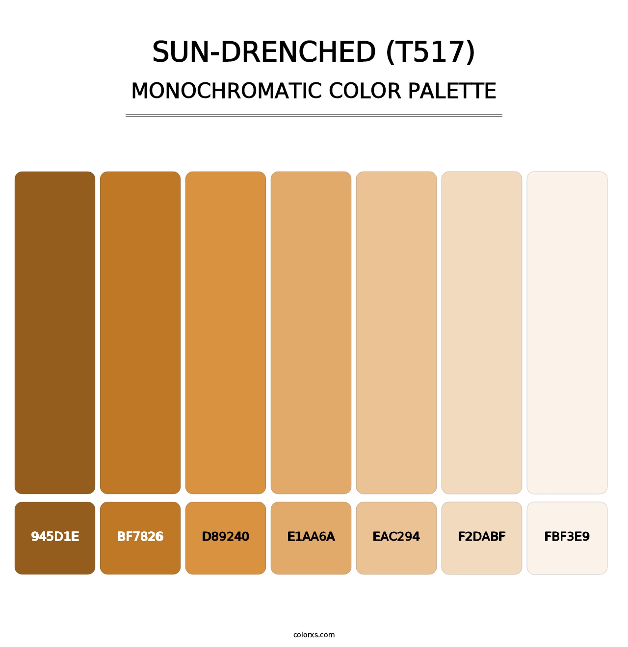 Sun-Drenched (T517) - Monochromatic Color Palette