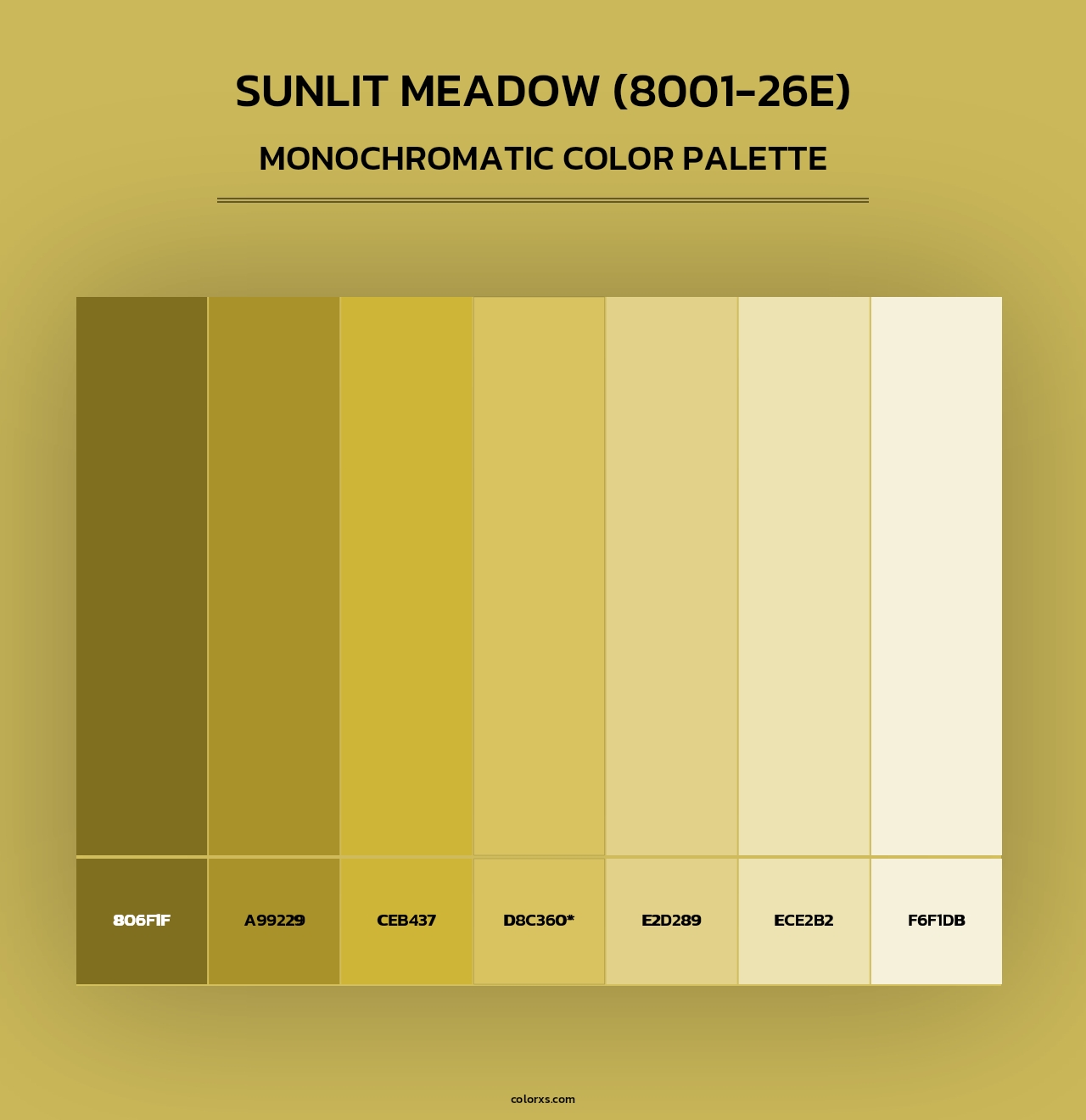 Sunlit Meadow (8001-26E) - Monochromatic Color Palette