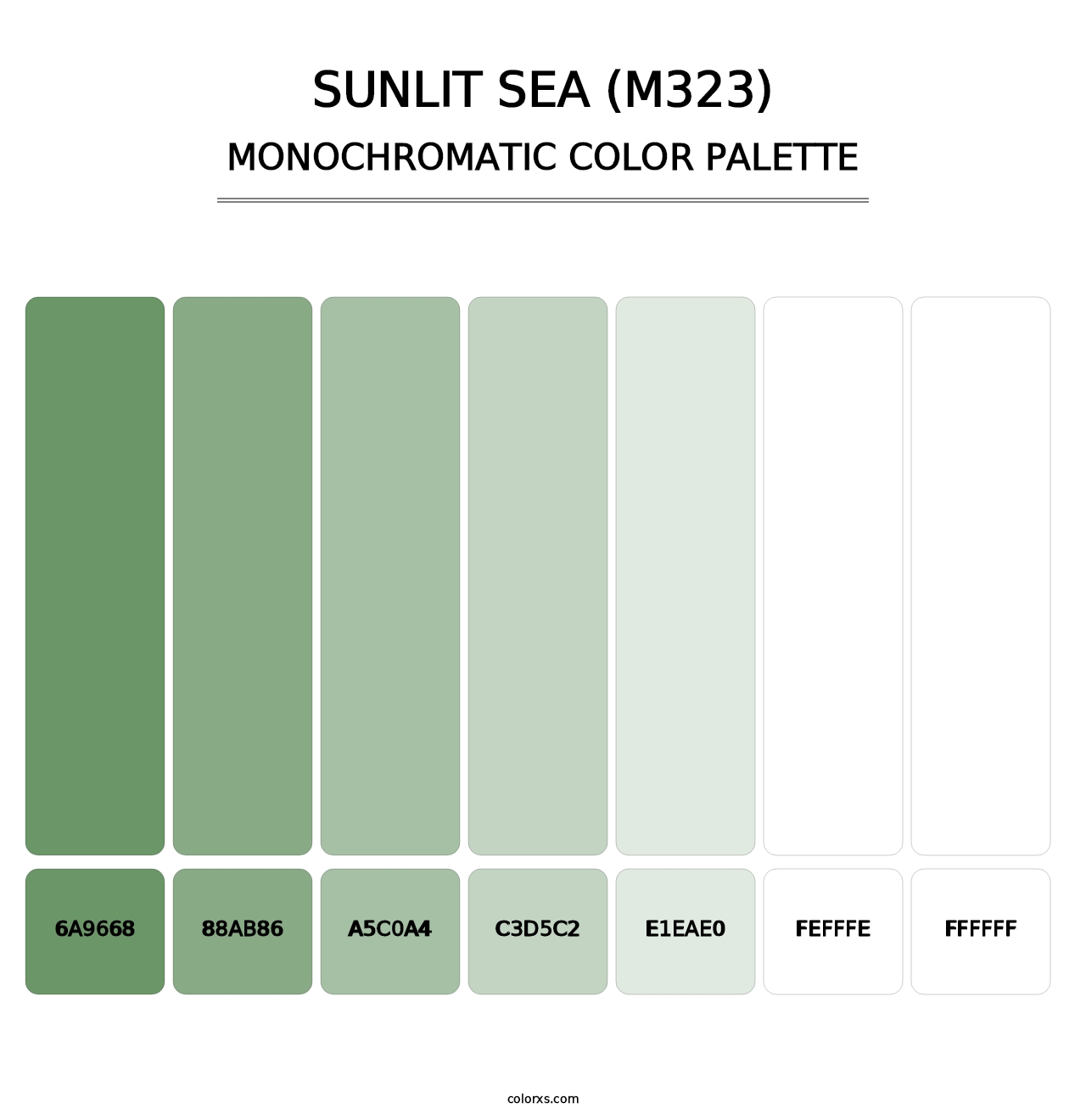 Sunlit Sea (M323) - Monochromatic Color Palette