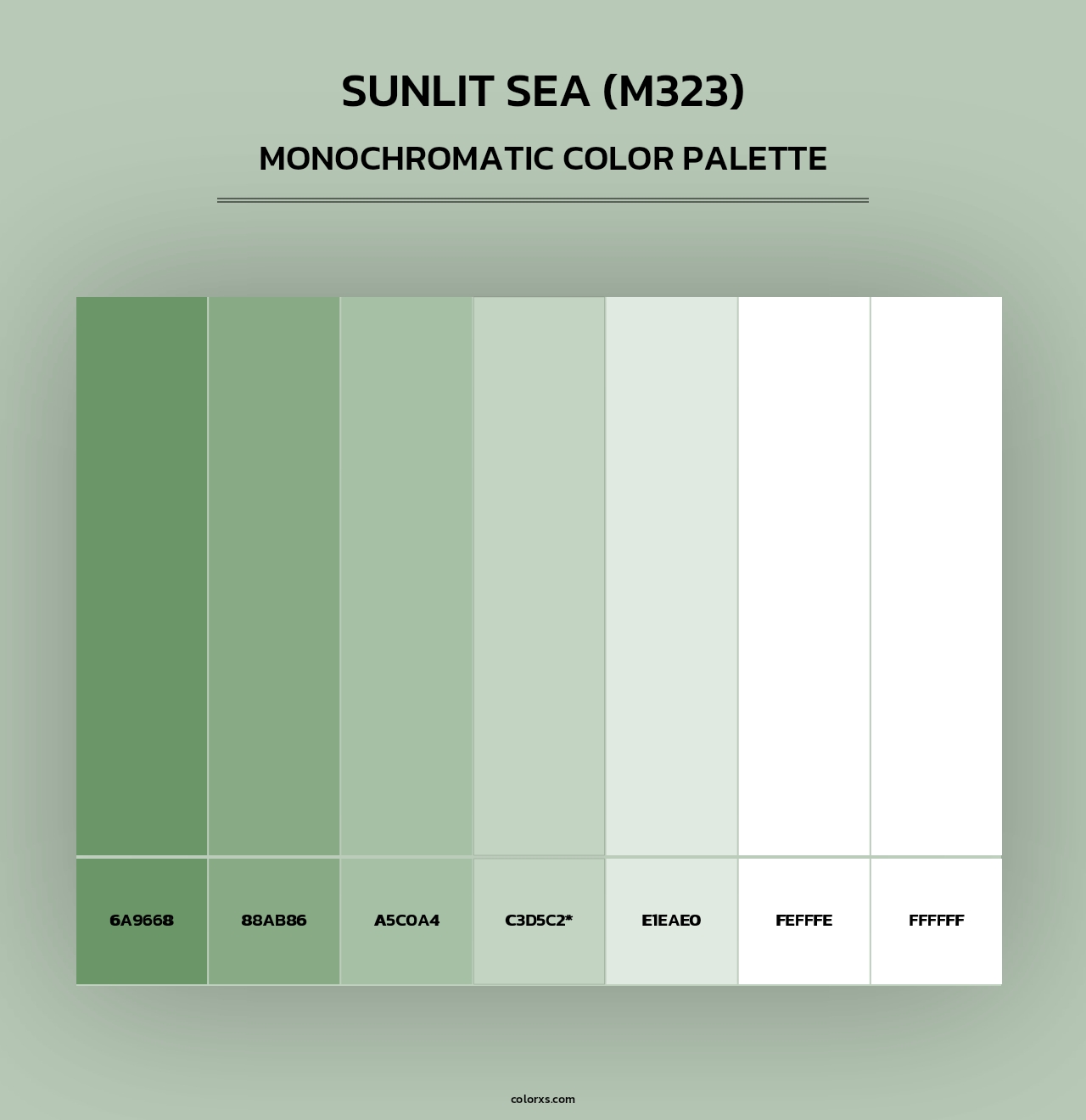 Sunlit Sea (M323) - Monochromatic Color Palette