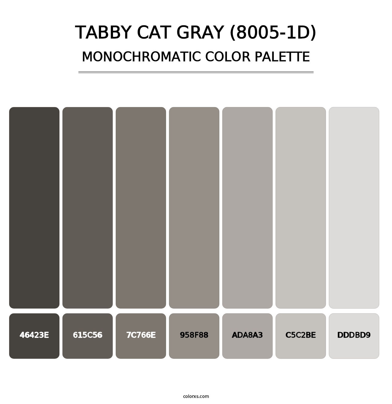 Tabby Cat Gray (8005-1D) - Monochromatic Color Palette