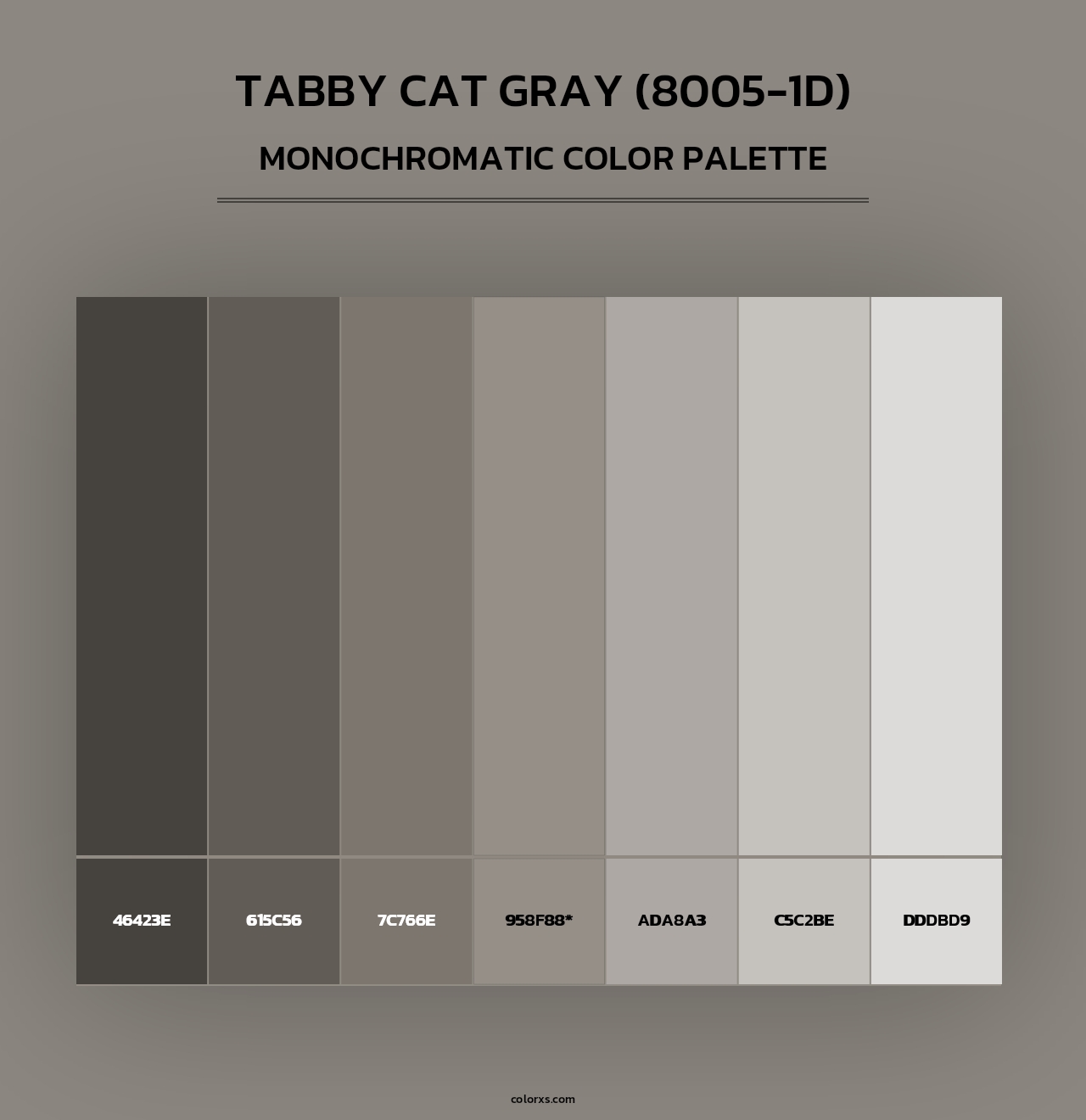 Tabby Cat Gray (8005-1D) - Monochromatic Color Palette