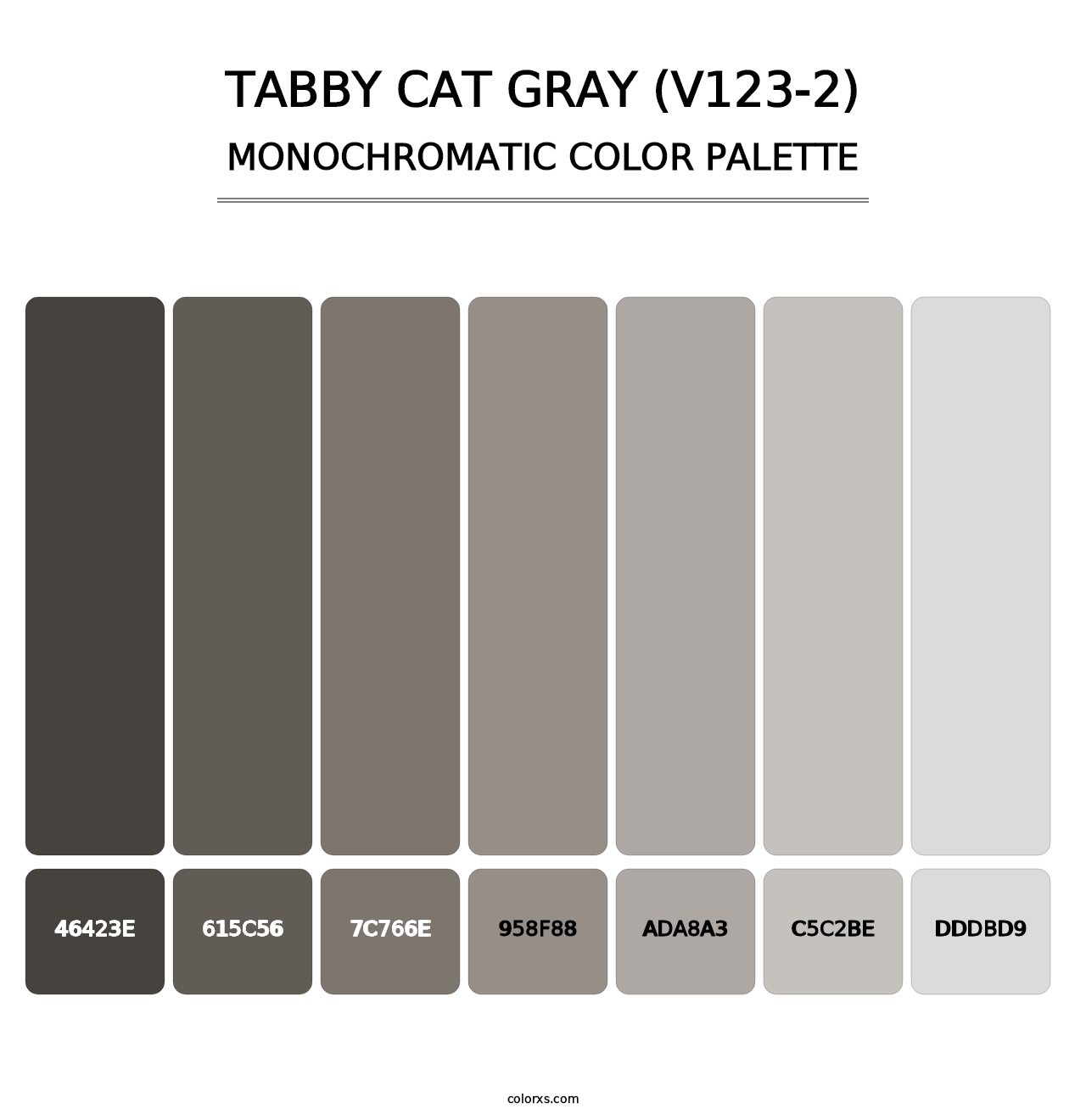 Tabby Cat Gray (V123-2) - Monochromatic Color Palette