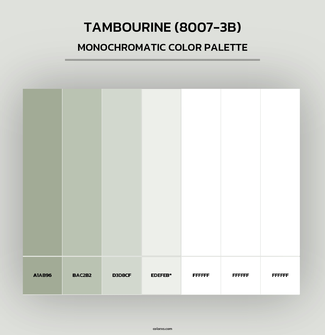 Tambourine (8007-3B) - Monochromatic Color Palette