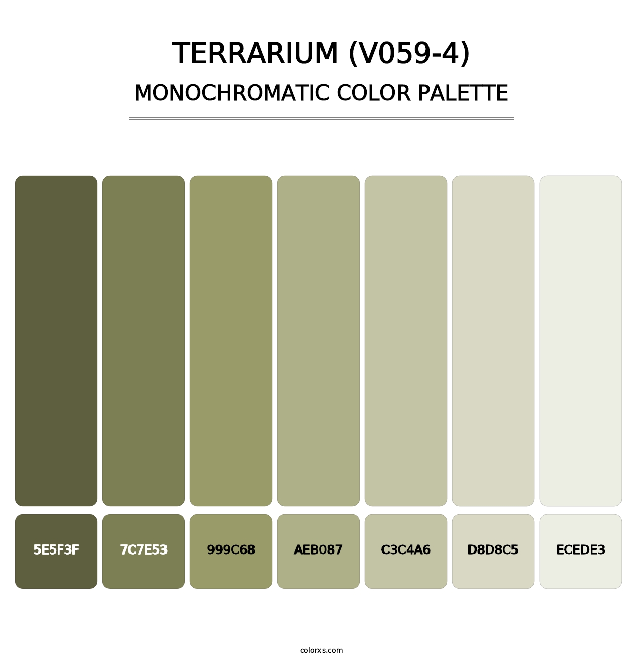 Terrarium (V059-4) - Monochromatic Color Palette