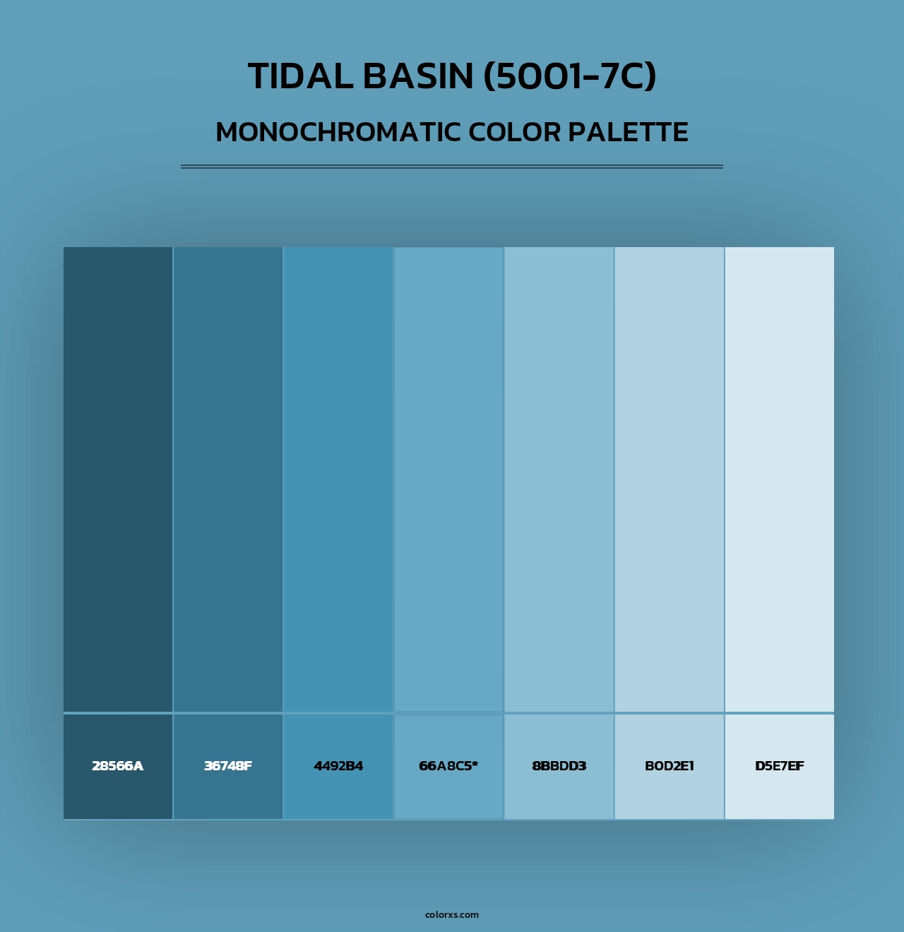 Tidal Basin (5001-7C) - Monochromatic Color Palette