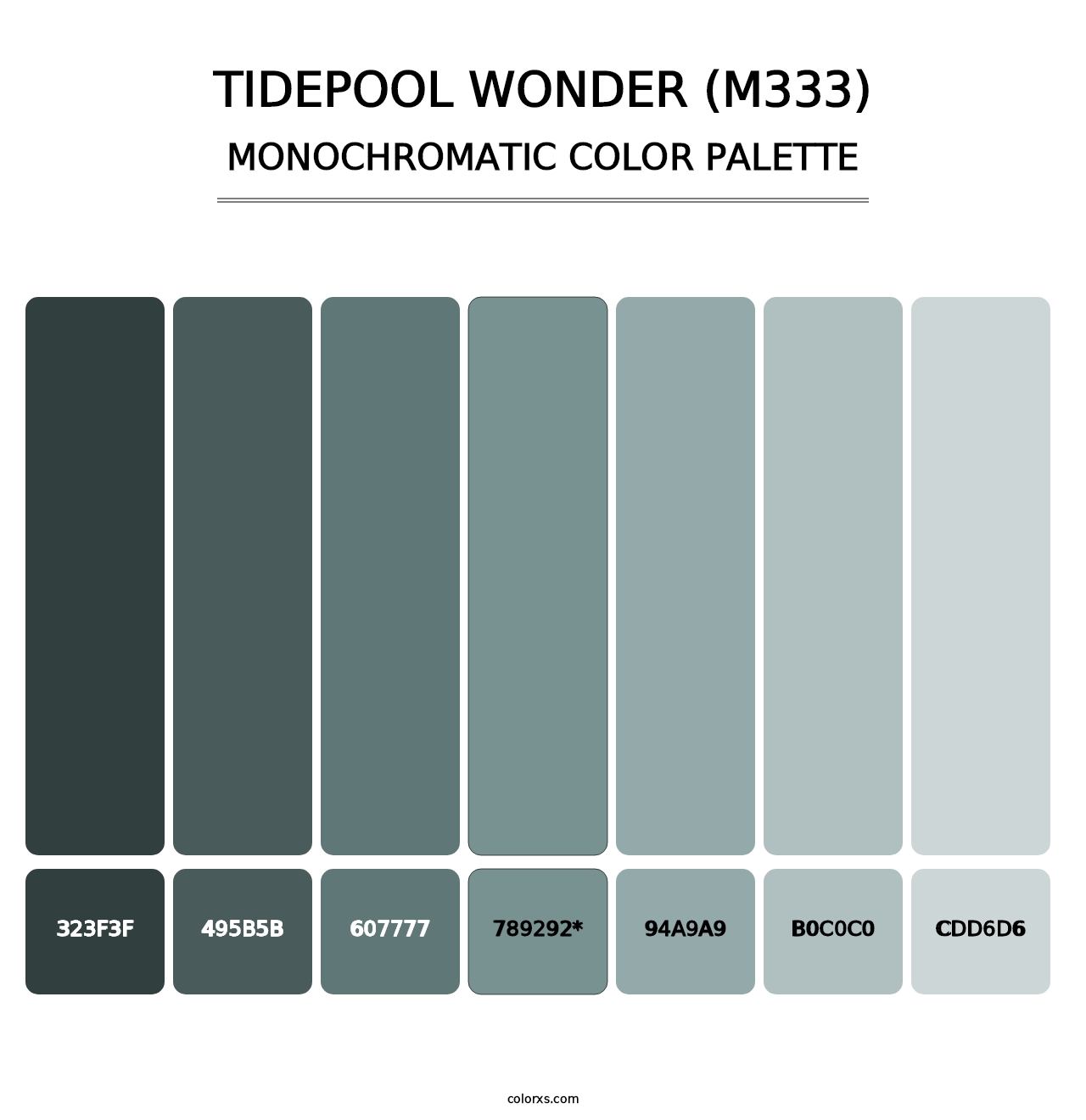 Tidepool Wonder (M333) - Monochromatic Color Palette