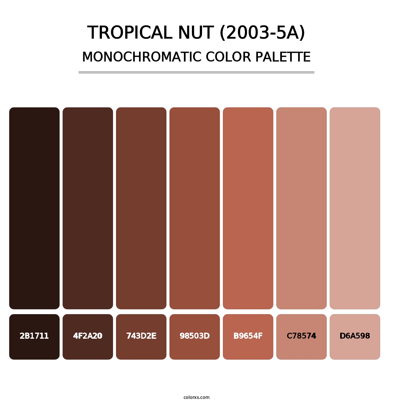 Tropical Nut (2003-5A) - Monochromatic Color Palette