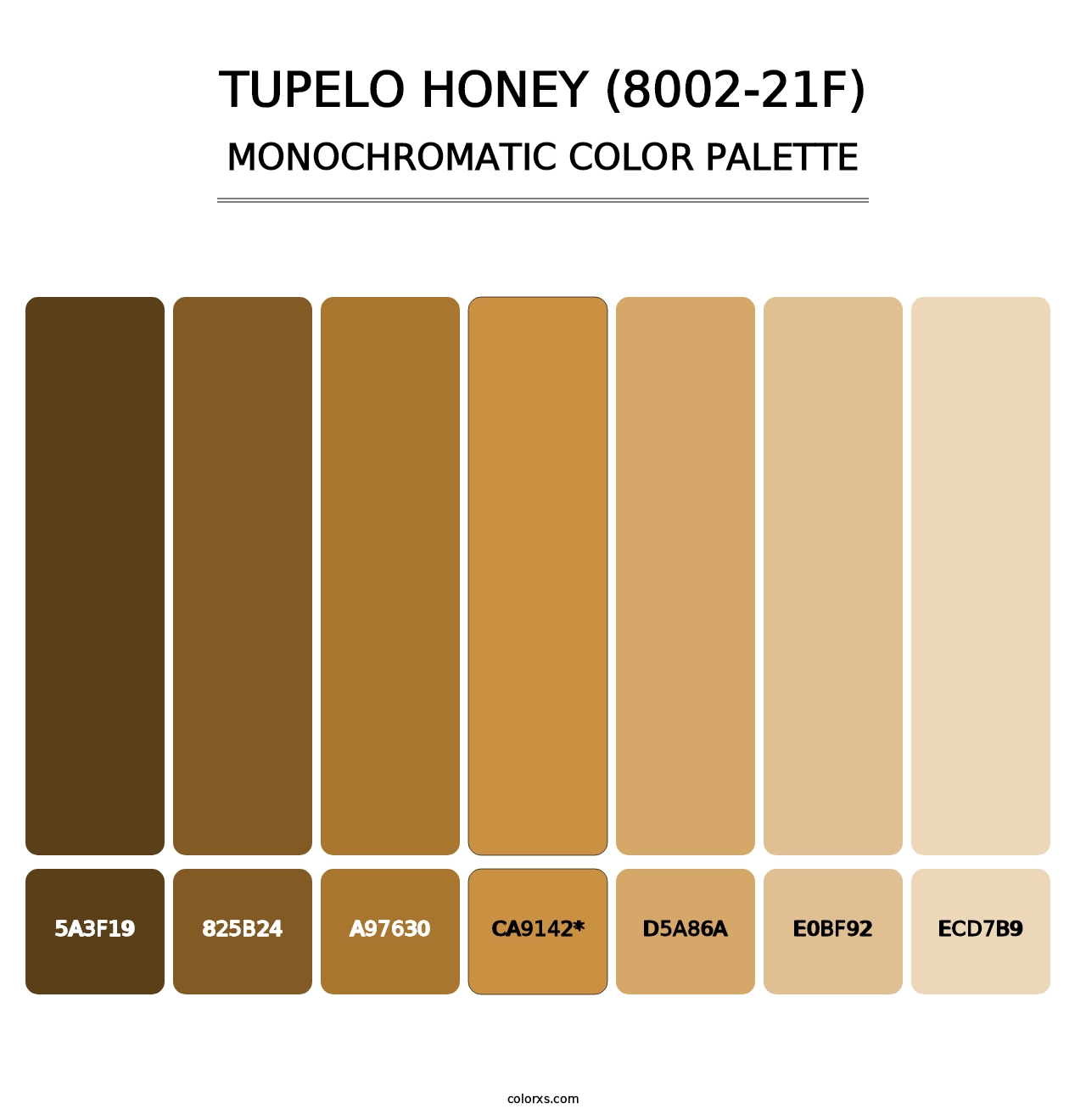 Tupelo Honey (8002-21F) - Monochromatic Color Palette