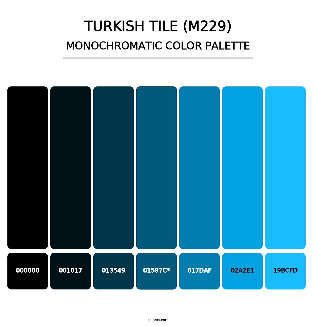 Turkish Tile (M229) - Monochromatic Color Palette