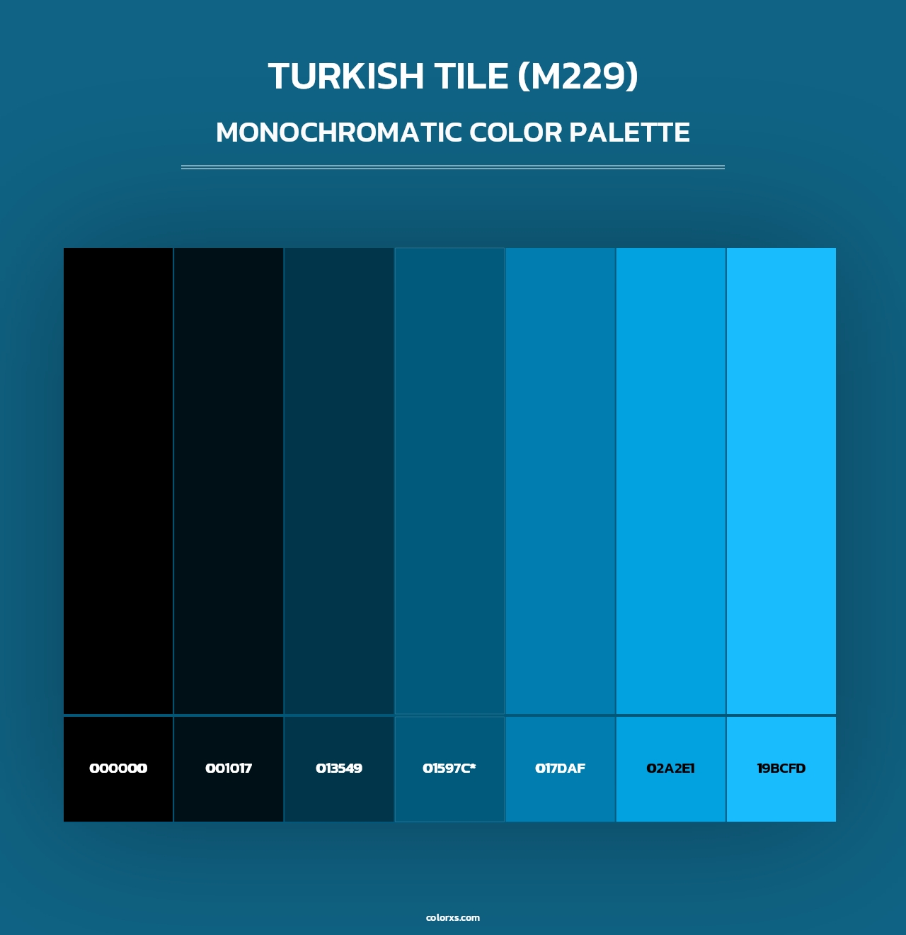 Turkish Tile (M229) - Monochromatic Color Palette