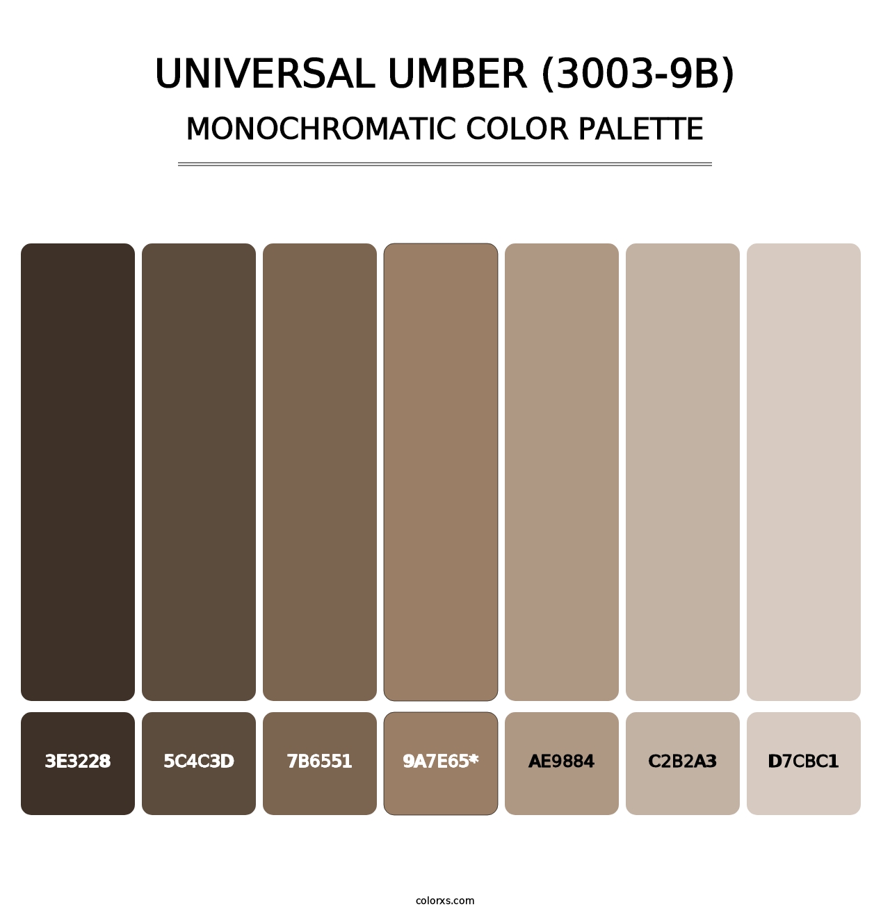 Universal Umber (3003-9B) - Monochromatic Color Palette