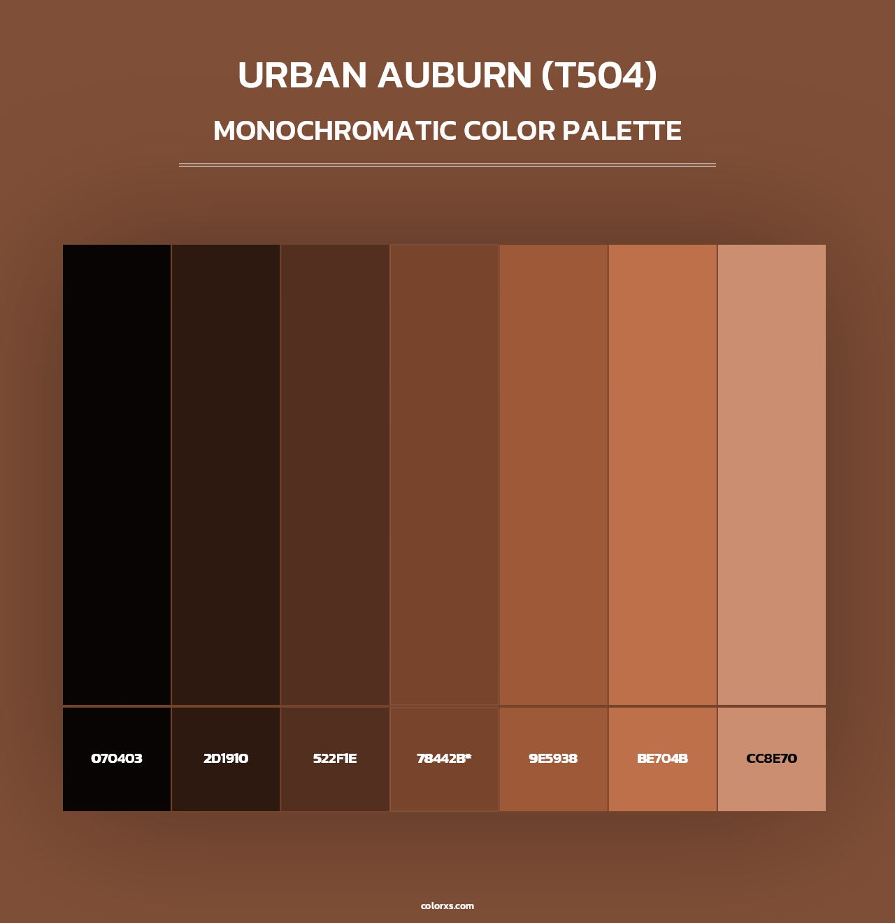 Urban Auburn (T504) - Monochromatic Color Palette