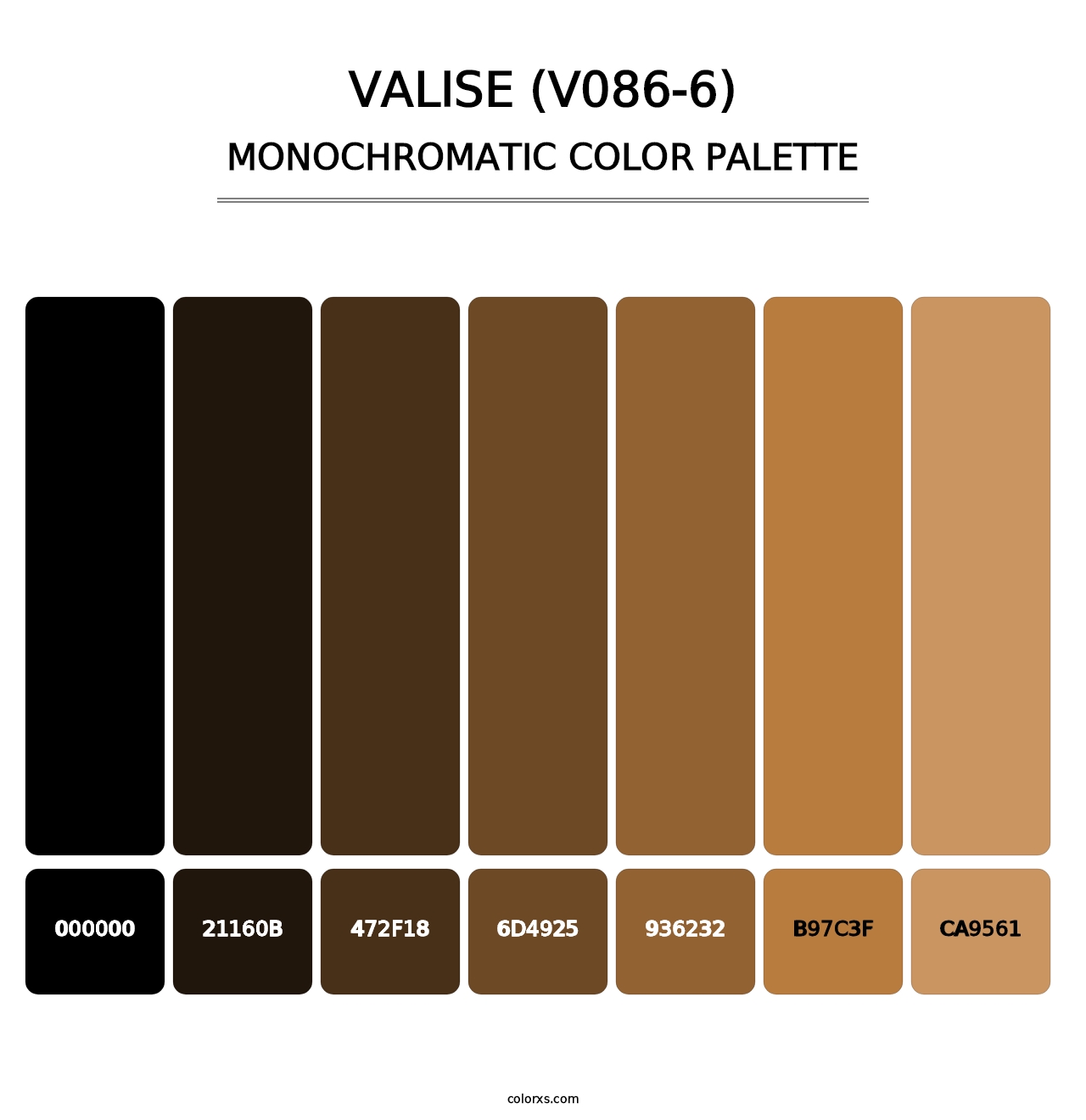 Valise (V086-6) - Monochromatic Color Palette
