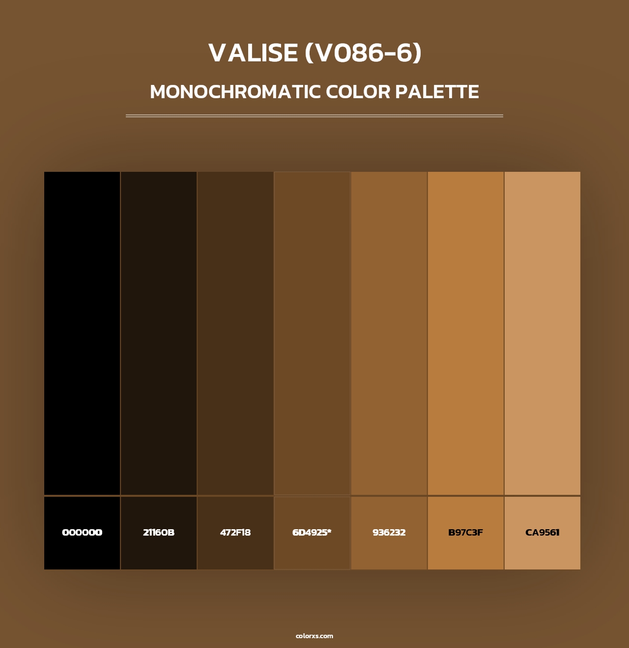 Valise (V086-6) - Monochromatic Color Palette