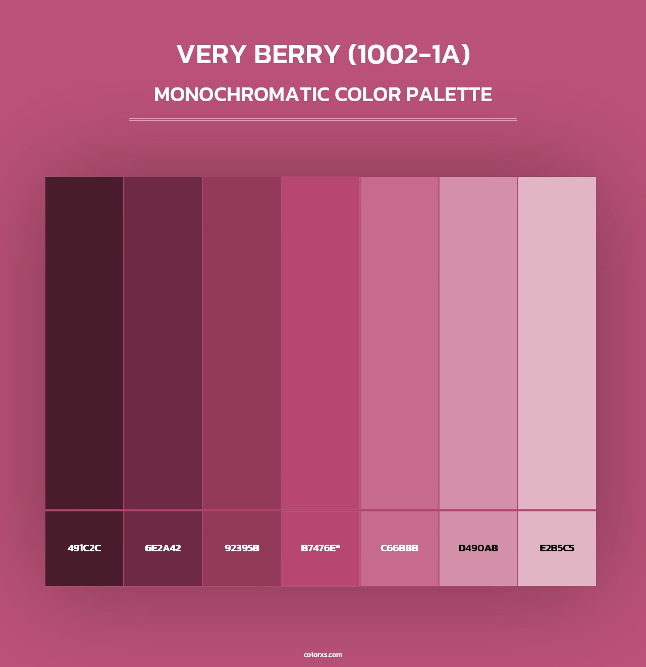 Very Berry (1002-1A) - Monochromatic Color Palette