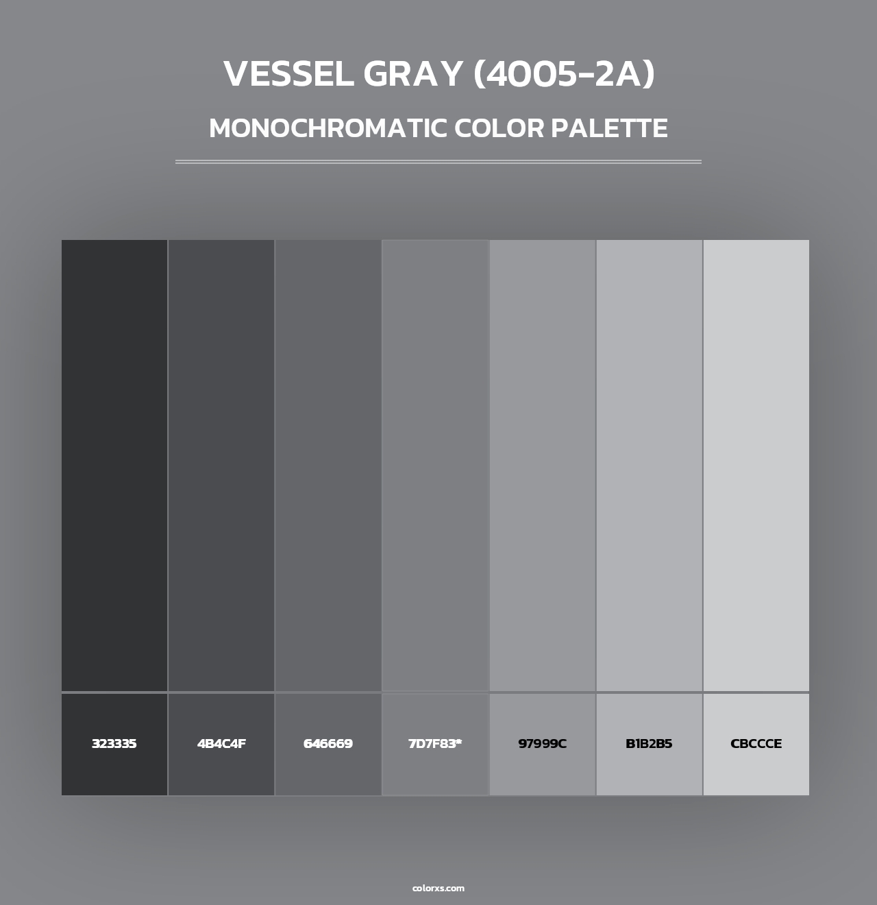 Vessel Gray (4005-2A) - Monochromatic Color Palette
