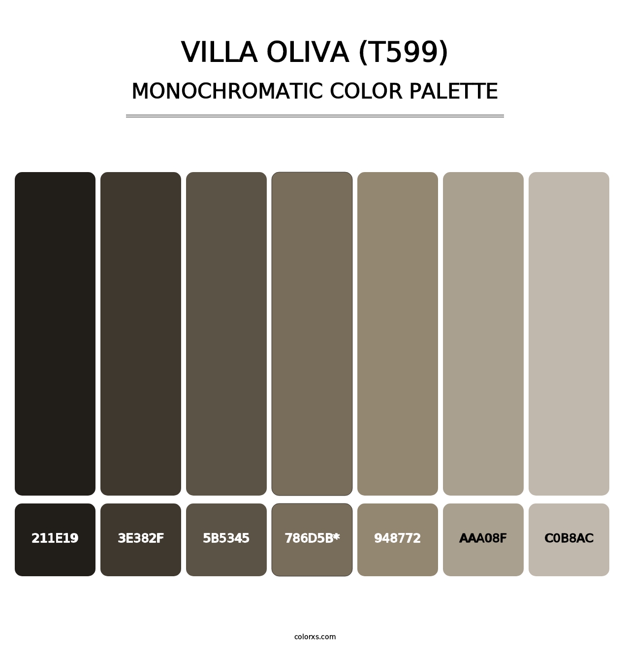 Villa Oliva (T599) - Monochromatic Color Palette