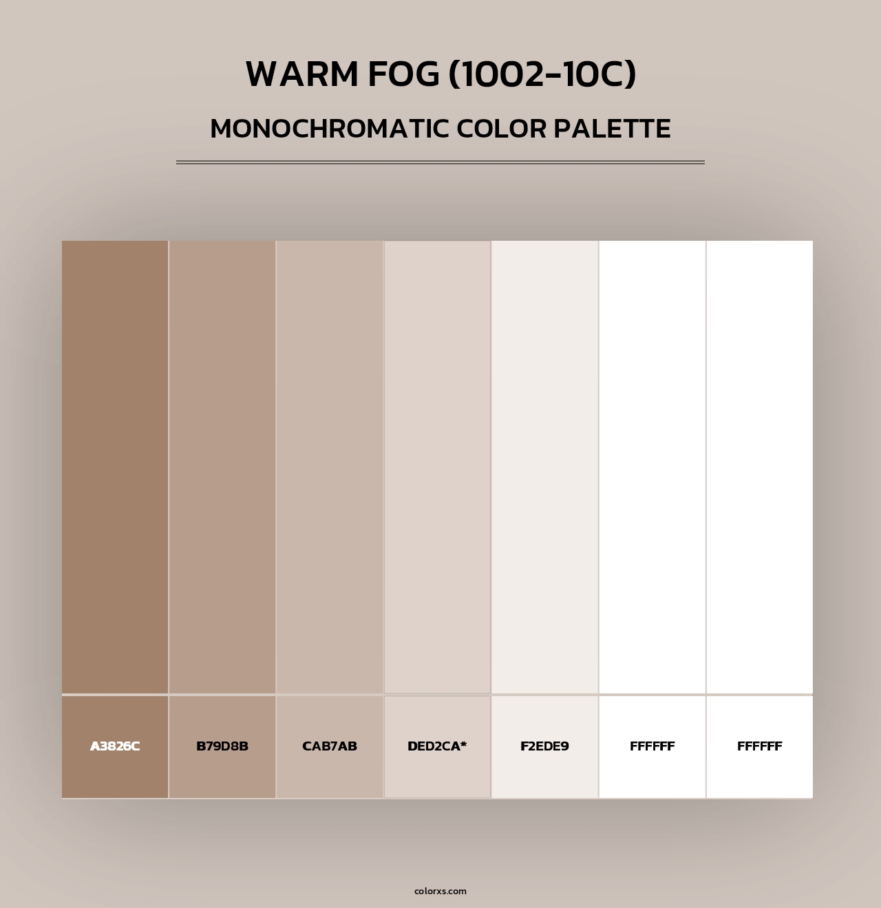 Warm Fog (1002-10C) - Monochromatic Color Palette