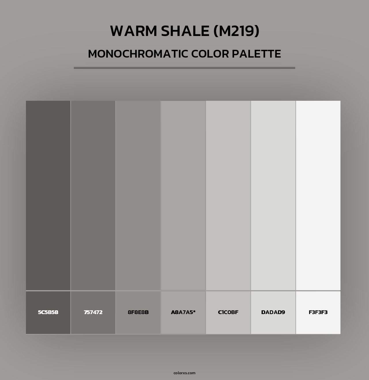 Warm Shale (M219) - Monochromatic Color Palette