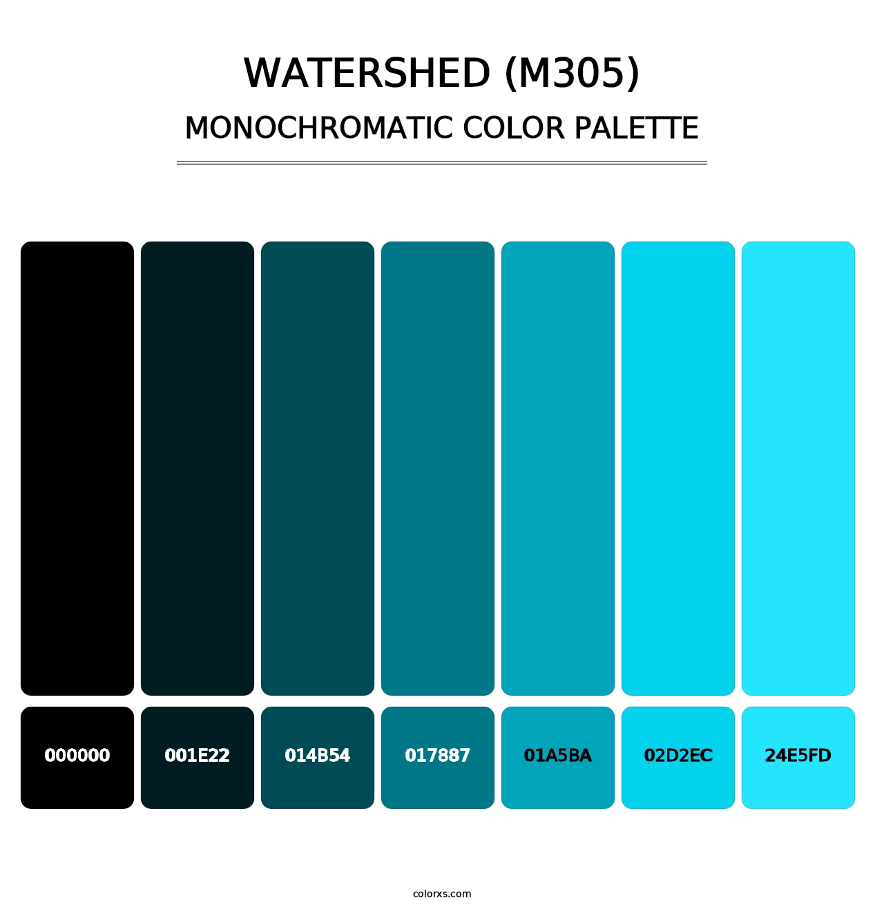 Watershed (M305) - Monochromatic Color Palette