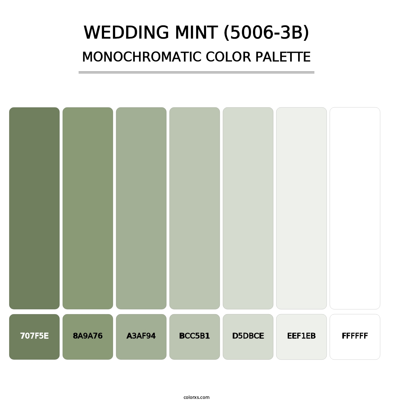 Wedding Mint (5006-3B) - Monochromatic Color Palette