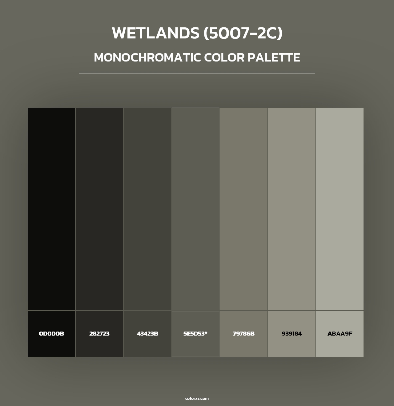 Wetlands (5007-2C) - Monochromatic Color Palette