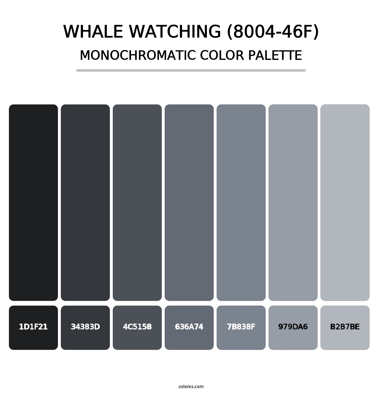 Whale Watching (8004-46F) - Monochromatic Color Palette
