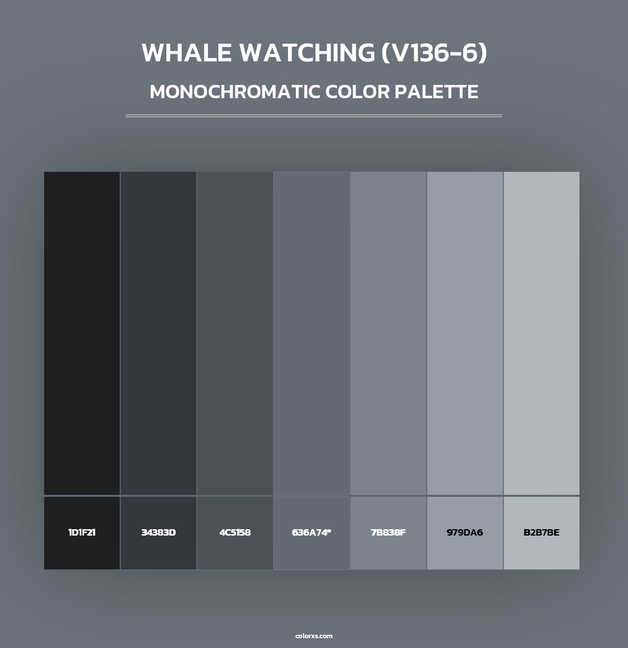 Whale Watching (V136-6) - Monochromatic Color Palette