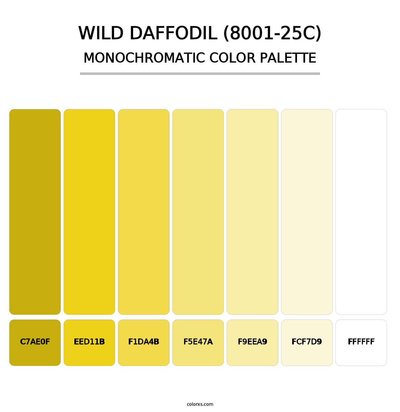 Wild Daffodil (8001-25C) - Monochromatic Color Palette