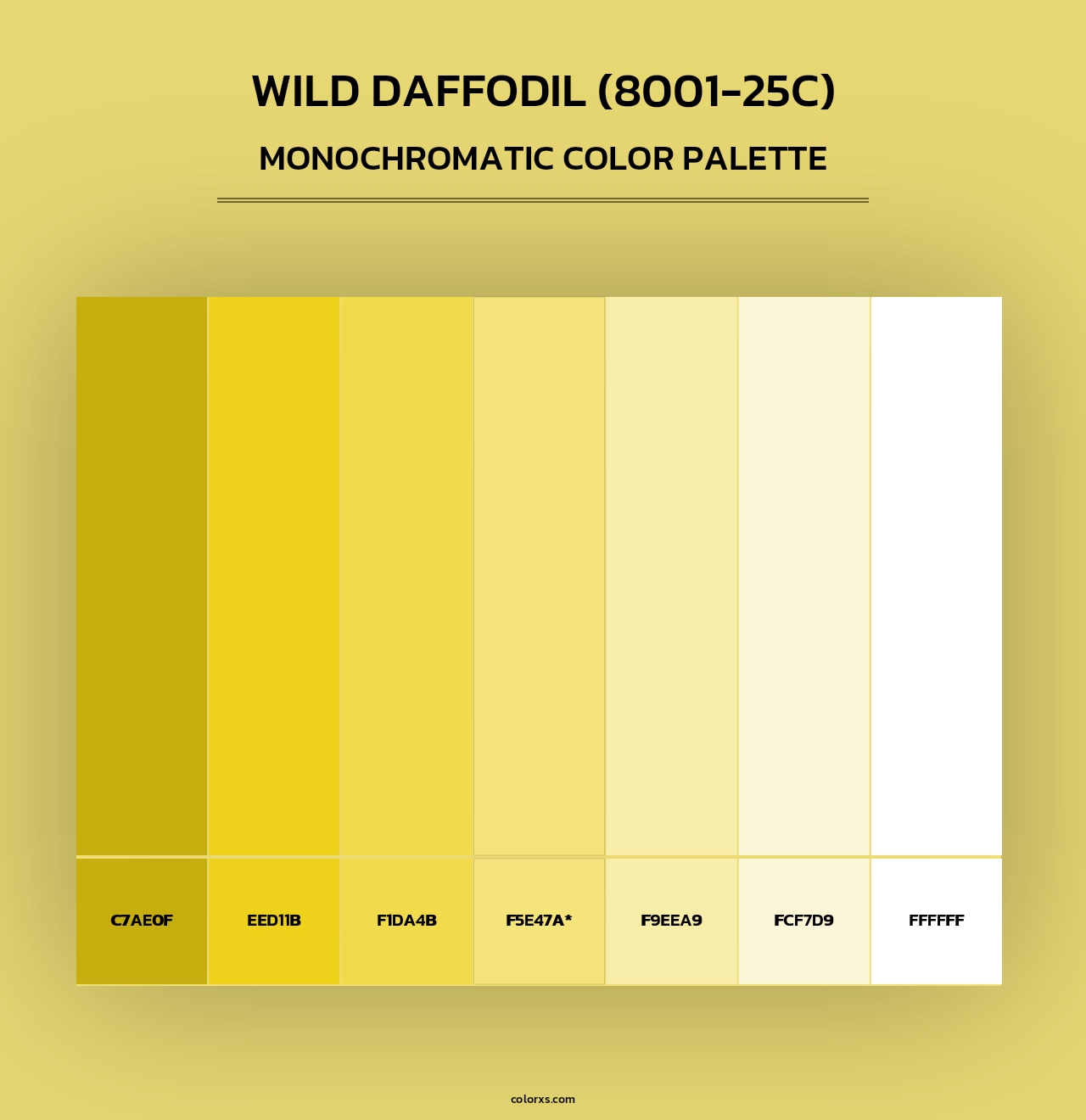 Wild Daffodil (8001-25C) - Monochromatic Color Palette