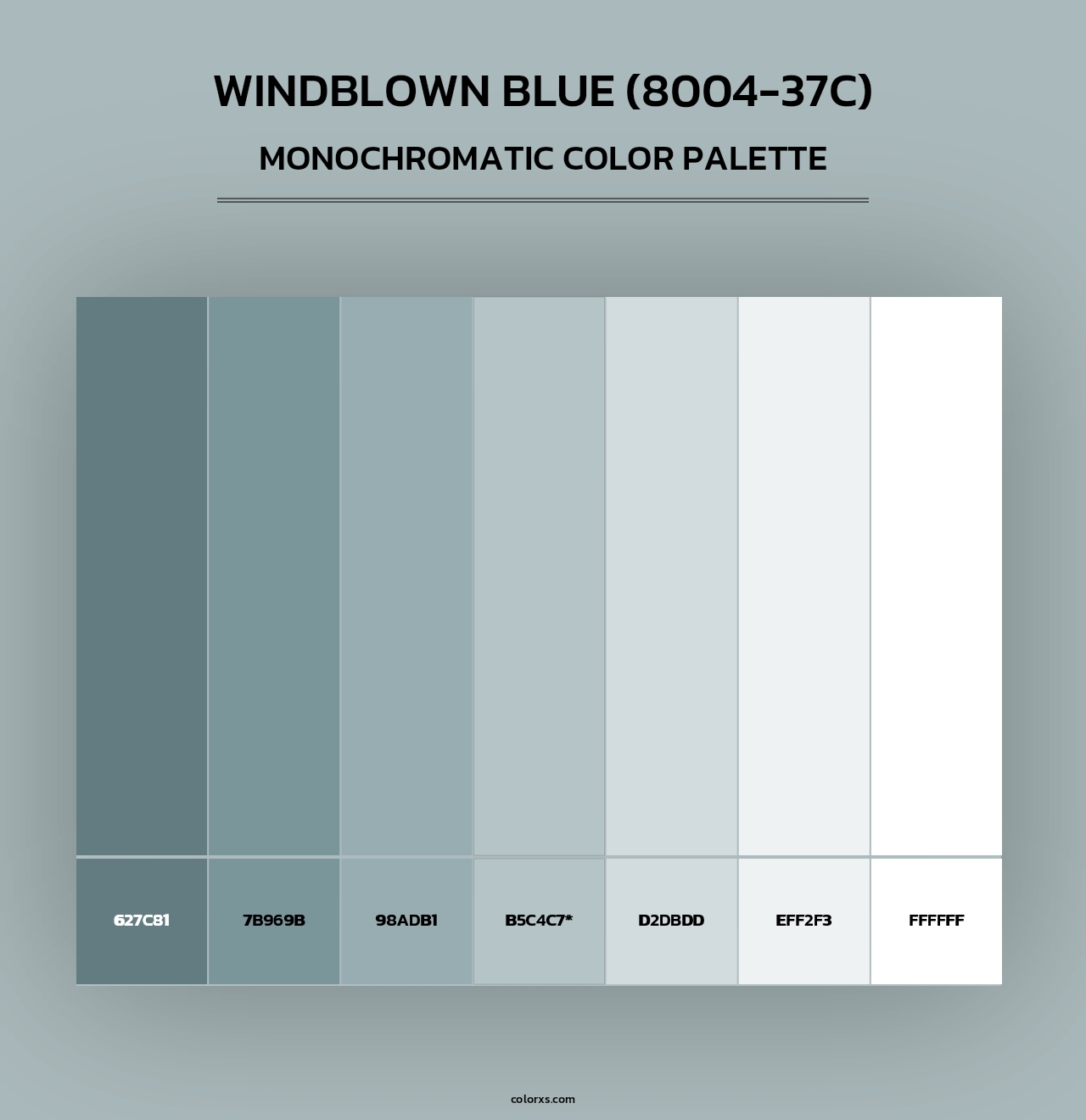 Windblown Blue (8004-37C) - Monochromatic Color Palette