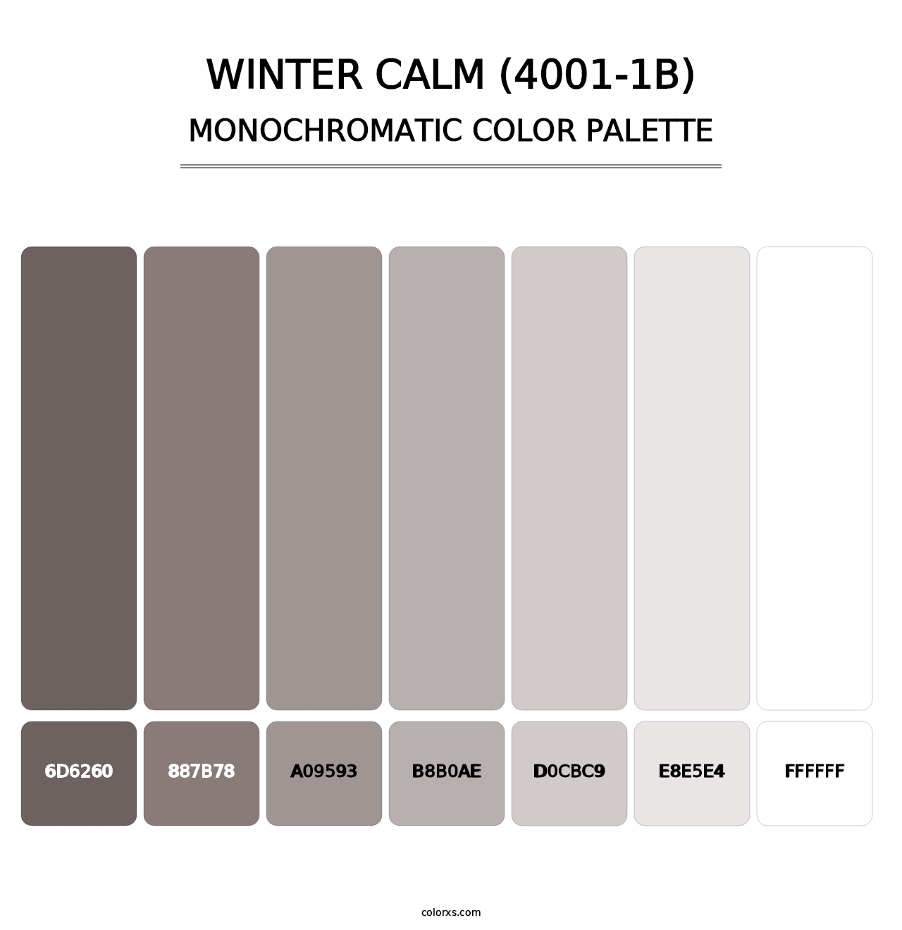 Winter Calm (4001-1B) - Monochromatic Color Palette