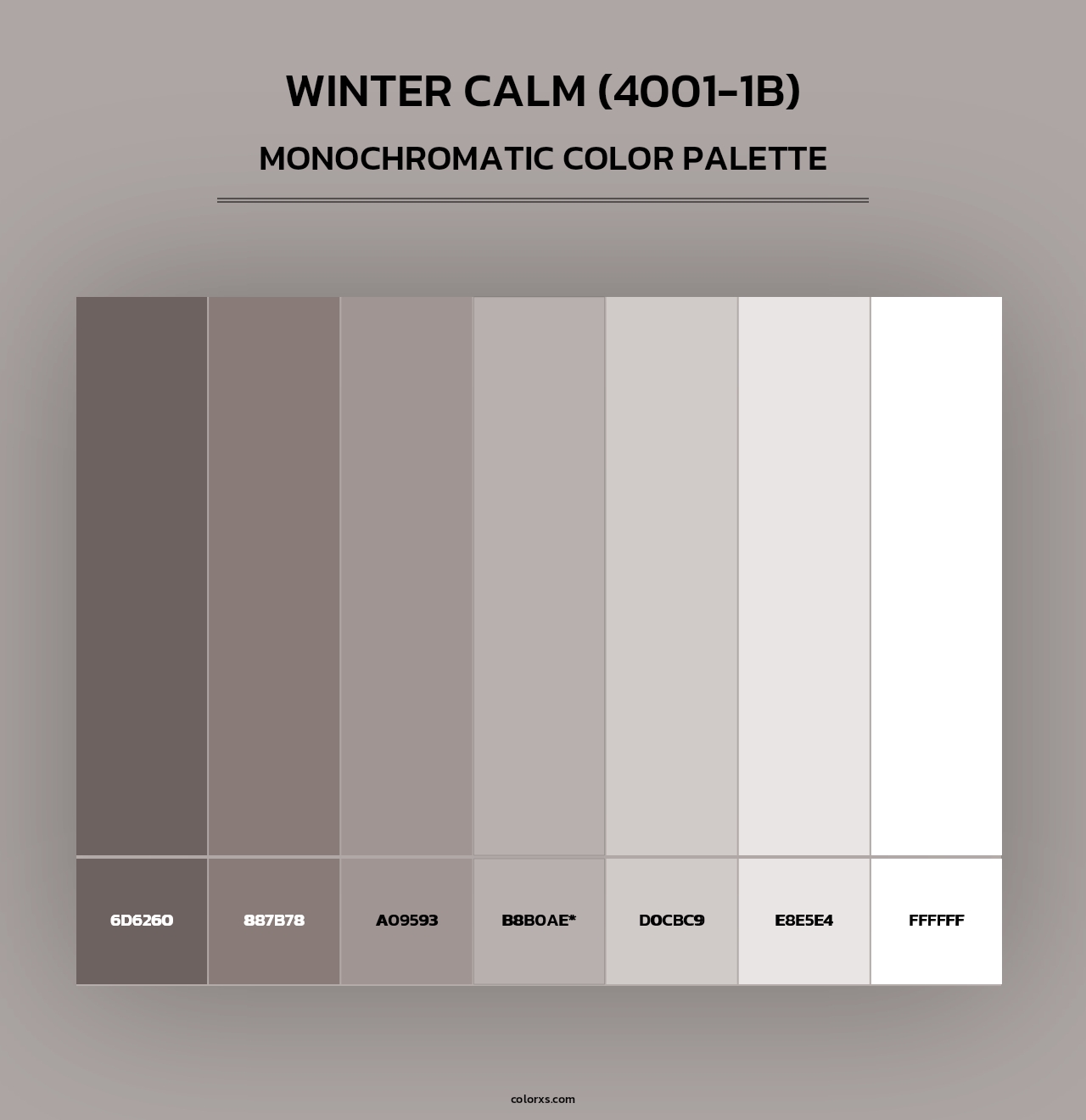 Winter Calm (4001-1B) - Monochromatic Color Palette