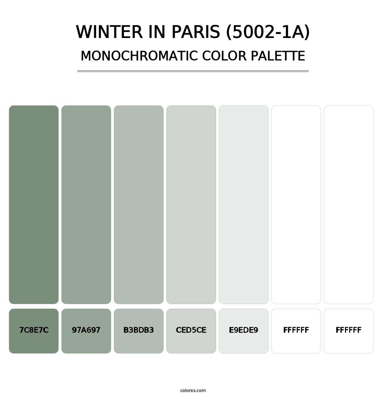Winter in Paris (5002-1A) - Monochromatic Color Palette