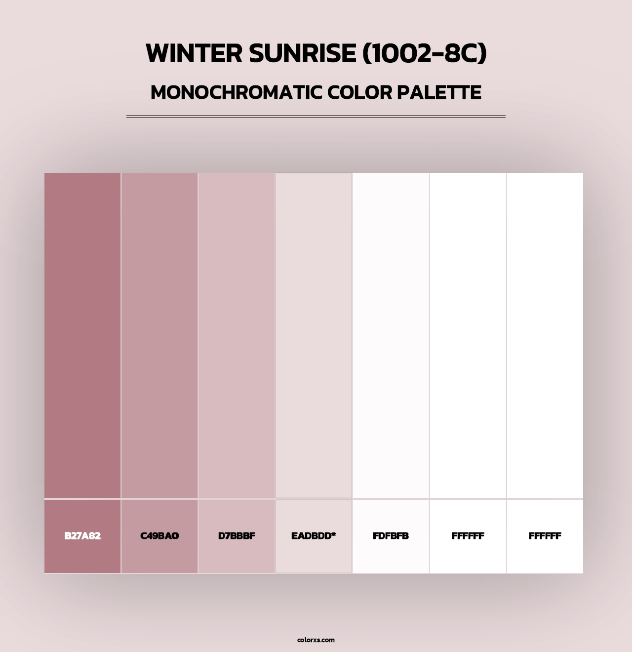 Winter Sunrise (1002-8C) - Monochromatic Color Palette