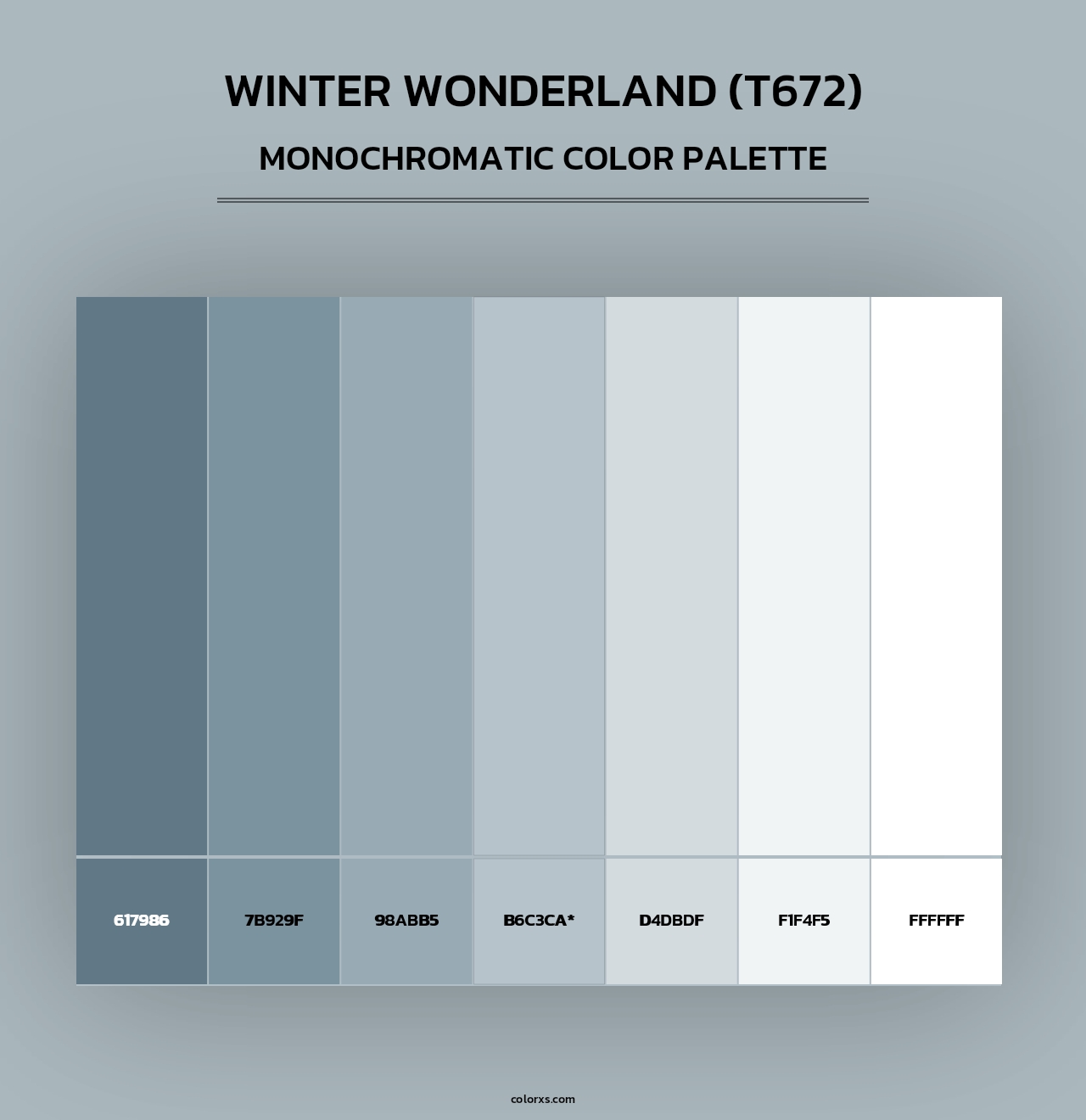 Winter Wonderland (T672) - Monochromatic Color Palette