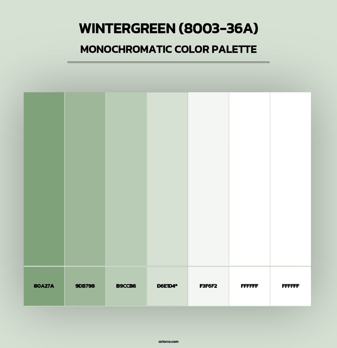 Wintergreen (8003-36A) - Monochromatic Color Palette