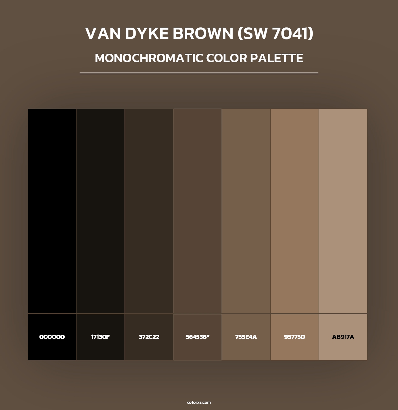Van Dyke Brown (SW 7041) - Monochromatic Color Palette