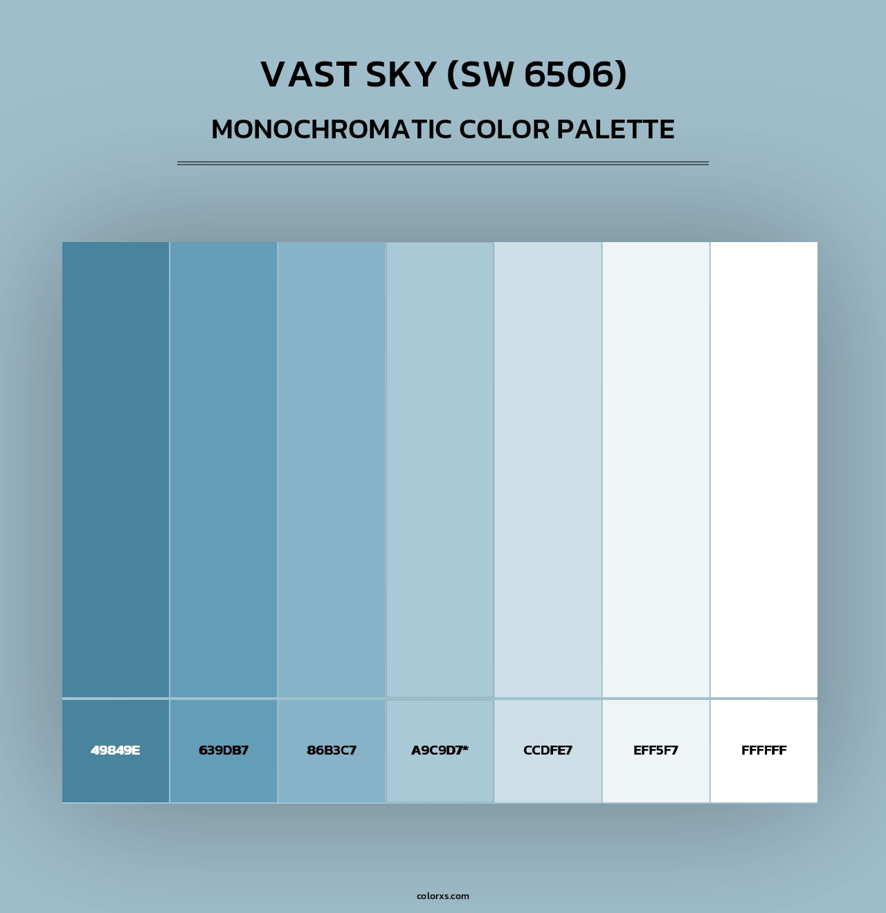 Vast Sky (SW 6506) - Monochromatic Color Palette