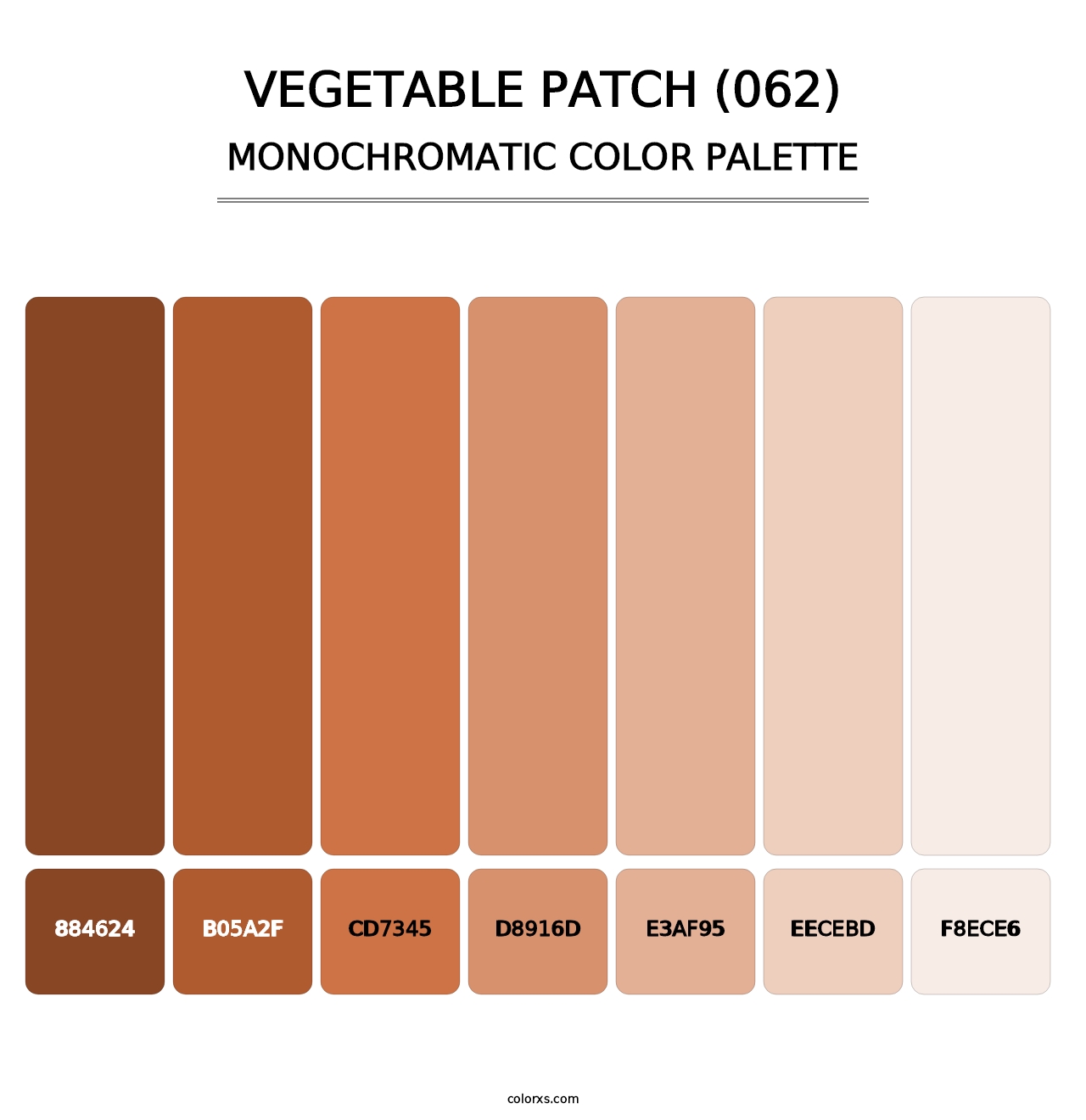 Vegetable Patch (062) - Monochromatic Color Palette