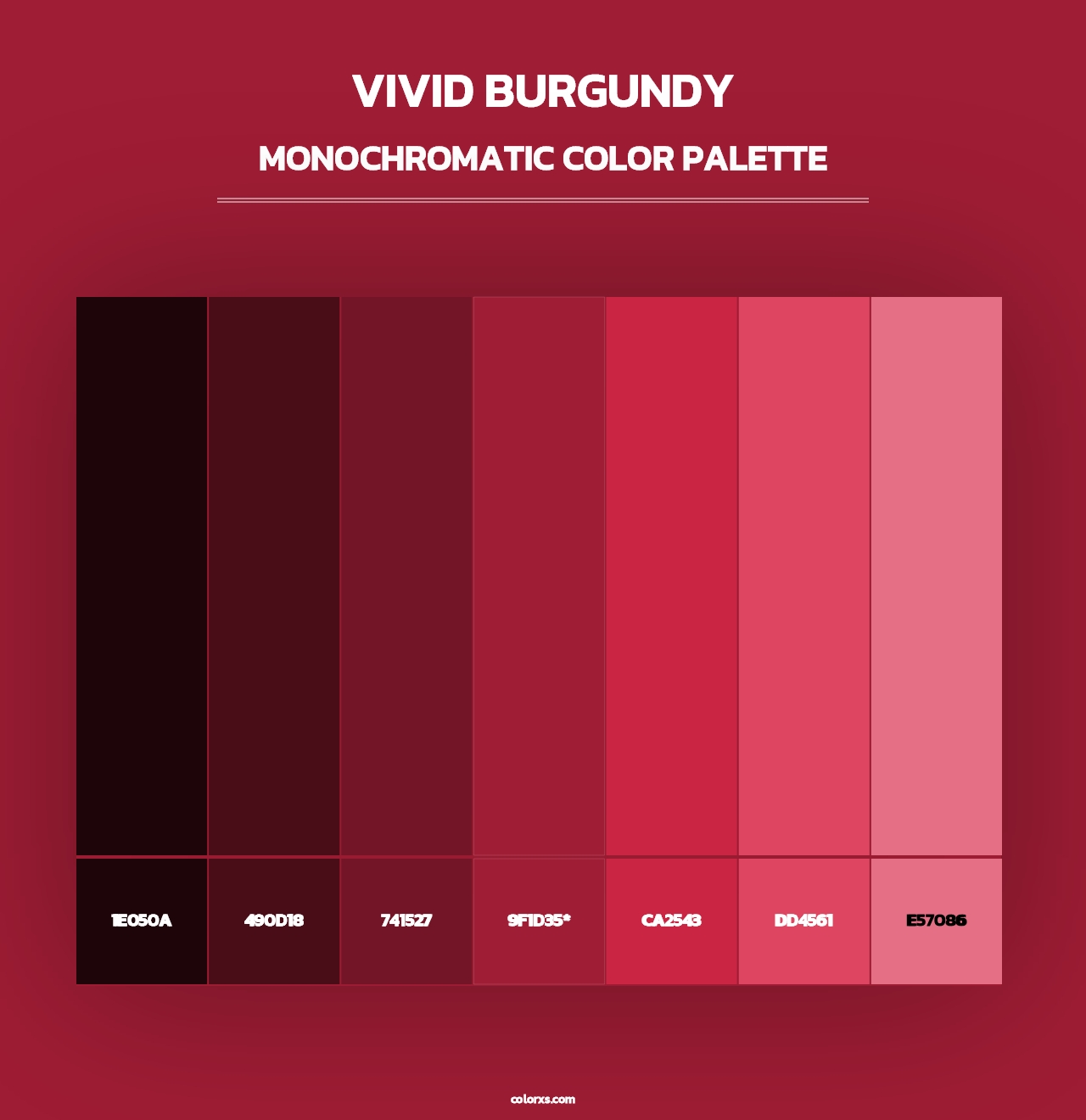 Vivid Burgundy - Monochromatic Color Palette