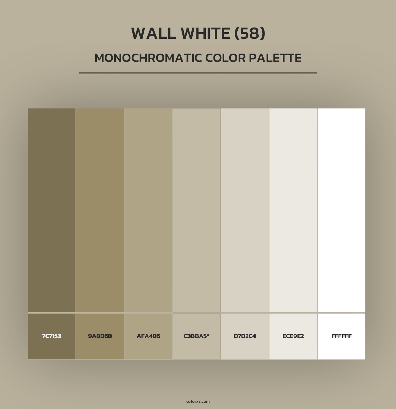 Wall White (58) - Monochromatic Color Palette