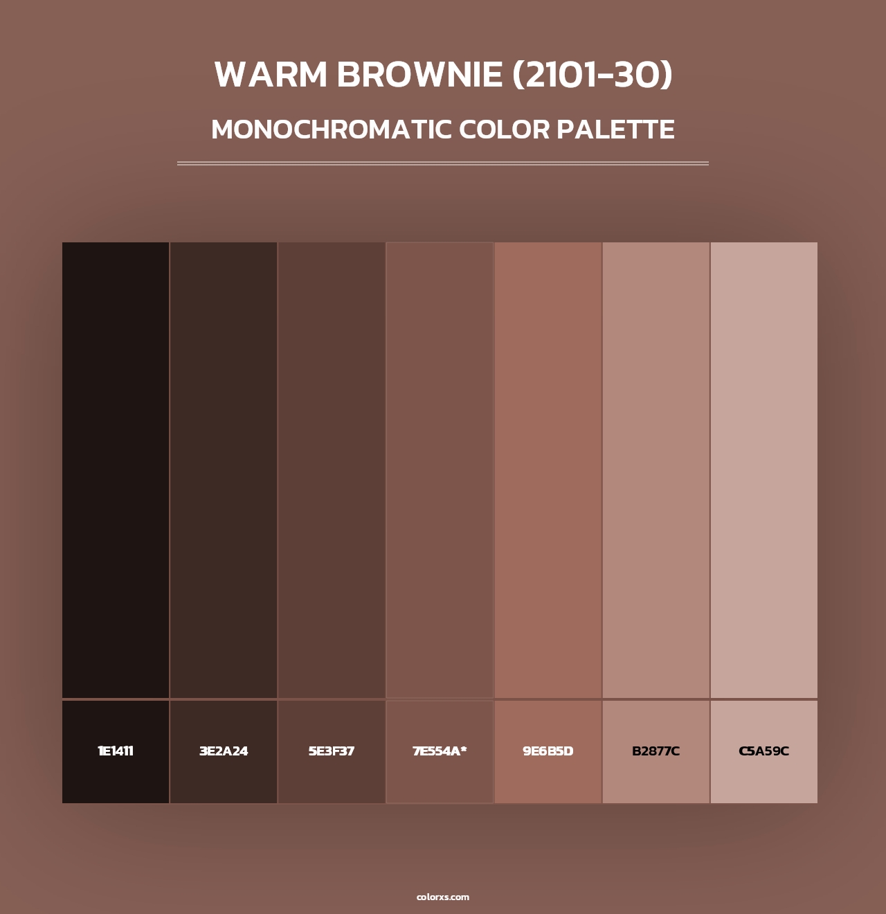 Warm Brownie (2101-30) - Monochromatic Color Palette