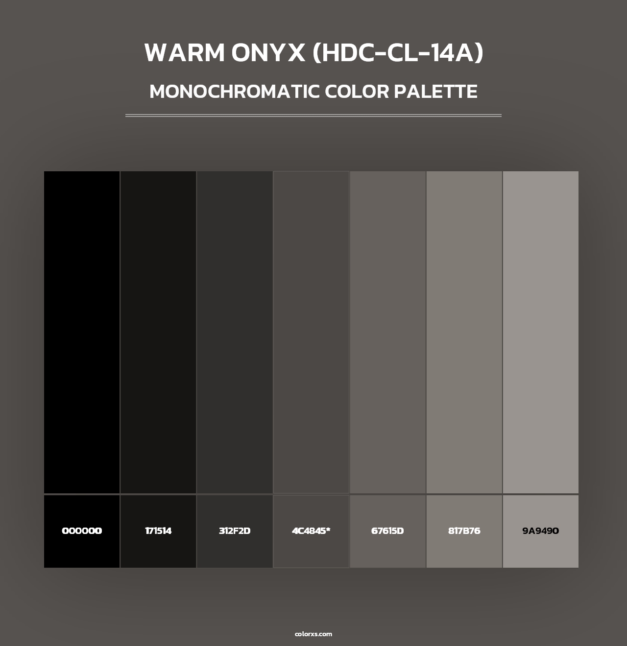 Warm Onyx (HDC-CL-14A) - Monochromatic Color Palette