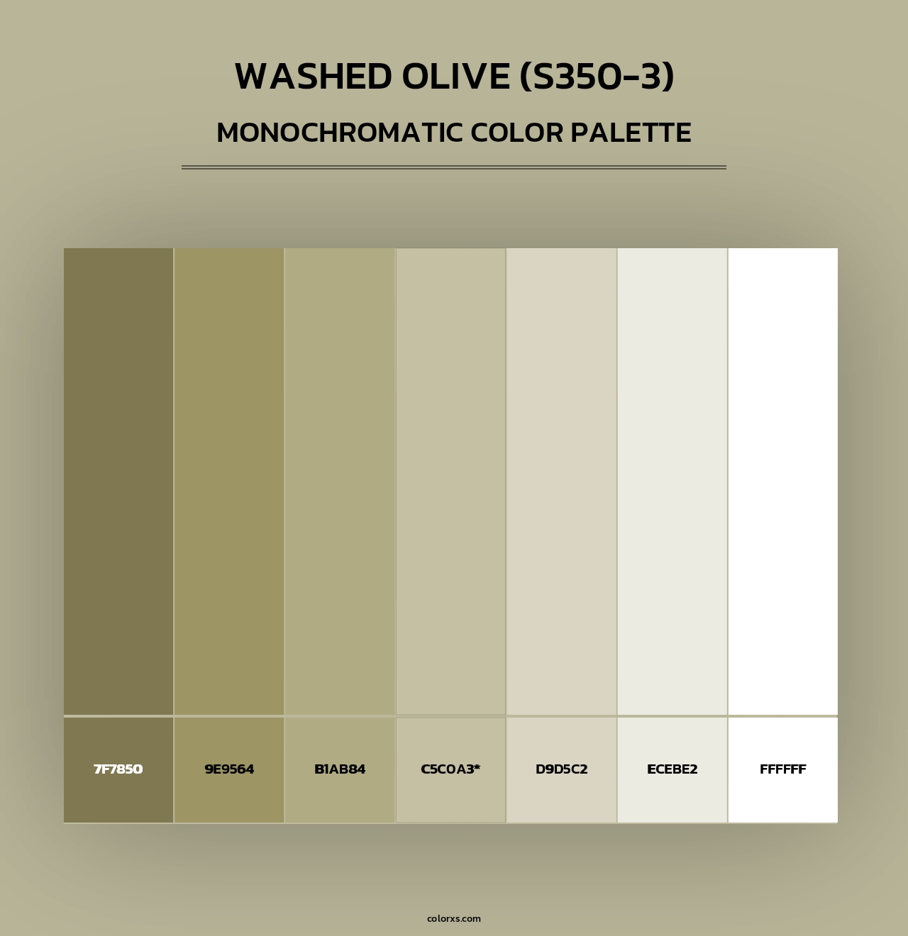 Washed Olive (S350-3) - Monochromatic Color Palette