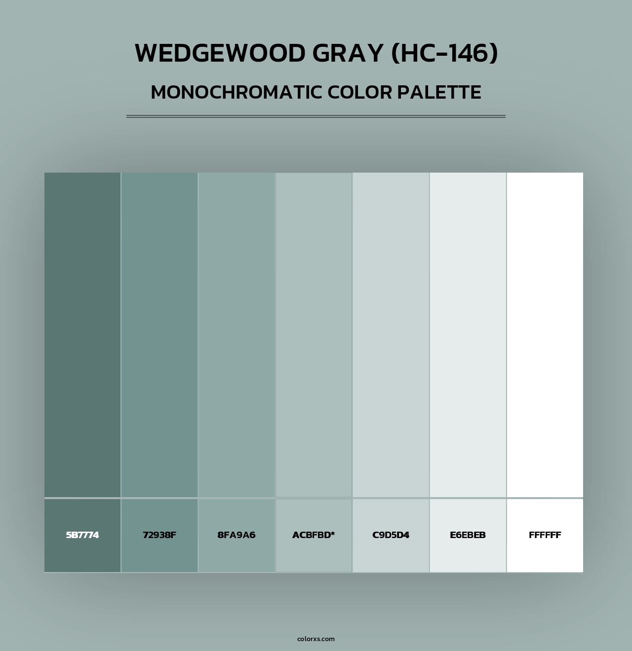 Wedgewood Gray (HC-146) - Monochromatic Color Palette