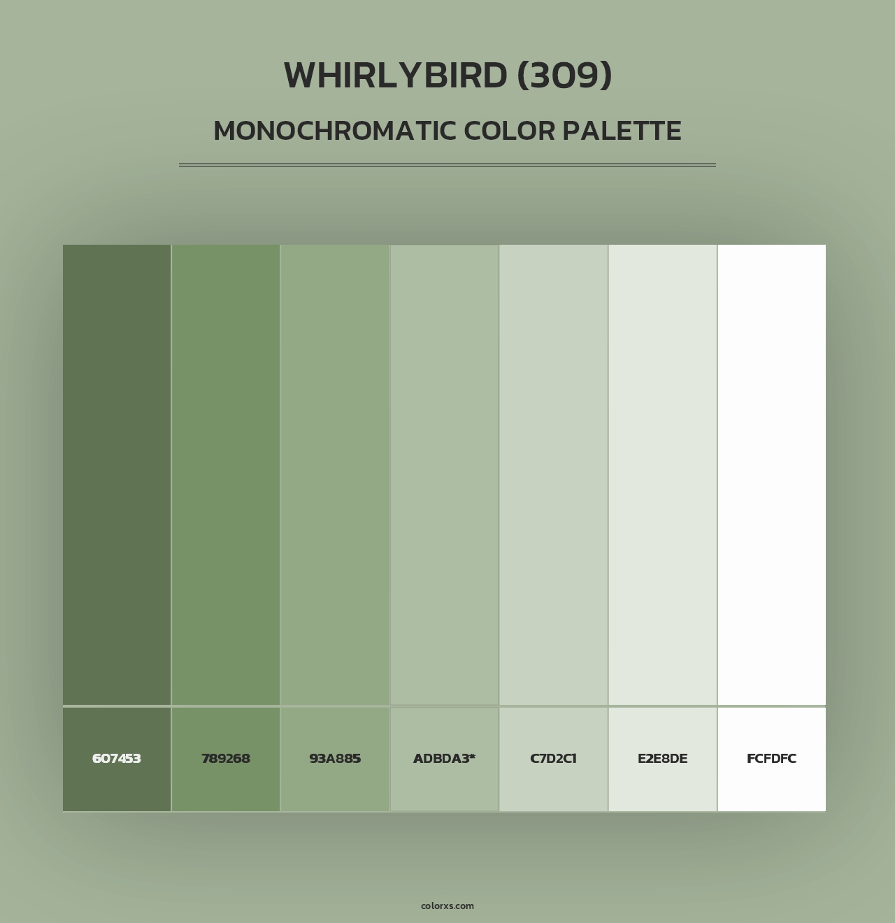 Whirlybird (309) - Monochromatic Color Palette
