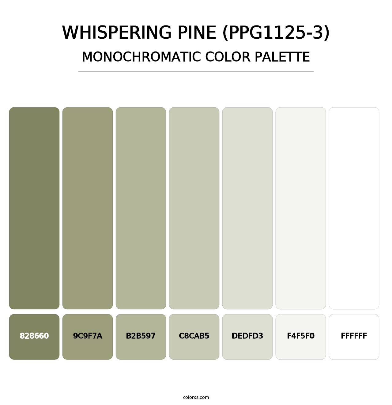 Whispering Pine (PPG1125-3) - Monochromatic Color Palette